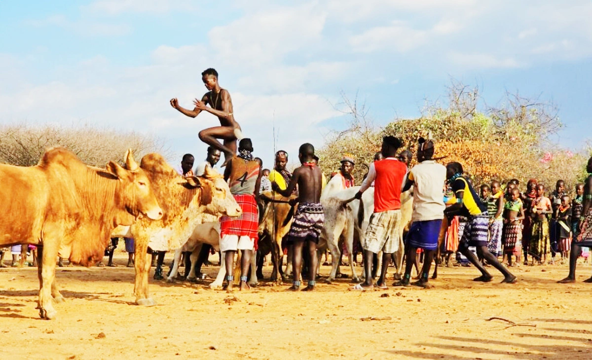 行程-衣索比亞法櫃奇兵15天-跳牛儀式Ukuli Bula