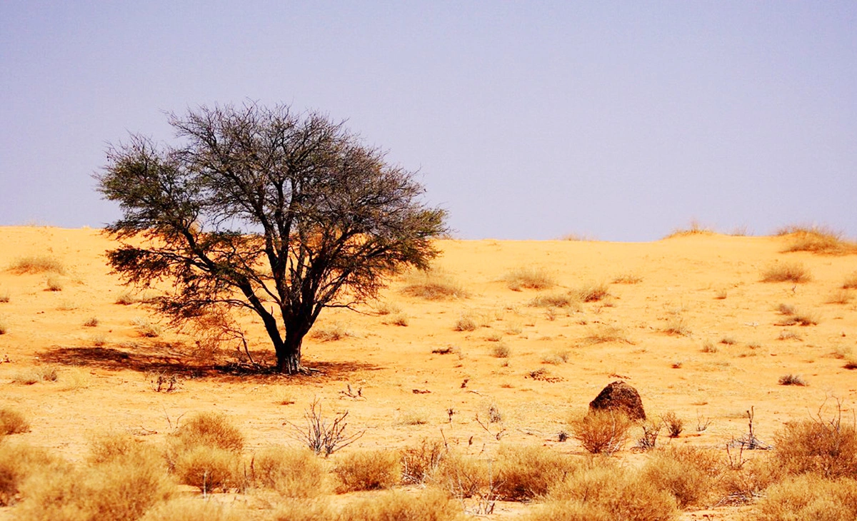 行程-納米比亞文化瑰寶經典豪華16天-《卡拉哈里沙漠》Kalahari Desert