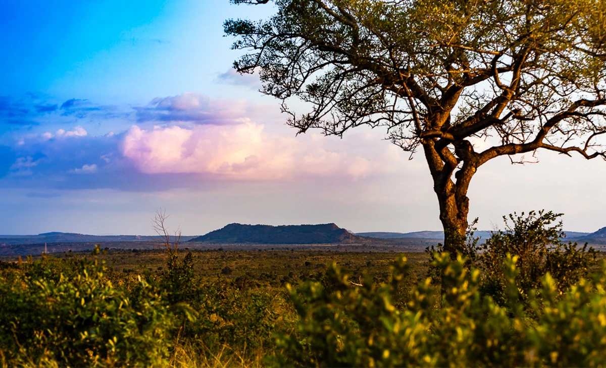 特色-南非克魯格國家公園獵奇12日之旅-克魯格國家公園Kruger National Park