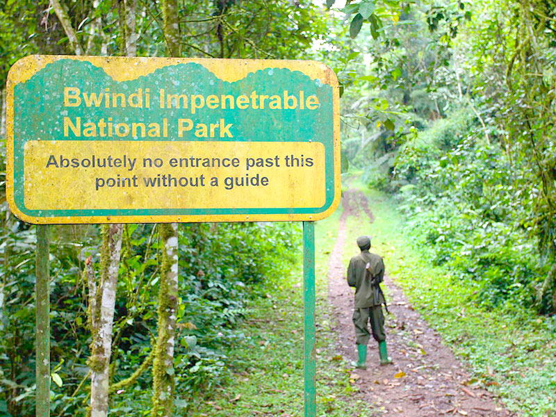 景點-烏干達-布恩迪國家公園