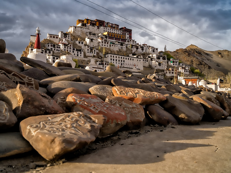 行程-印度-提克西寺