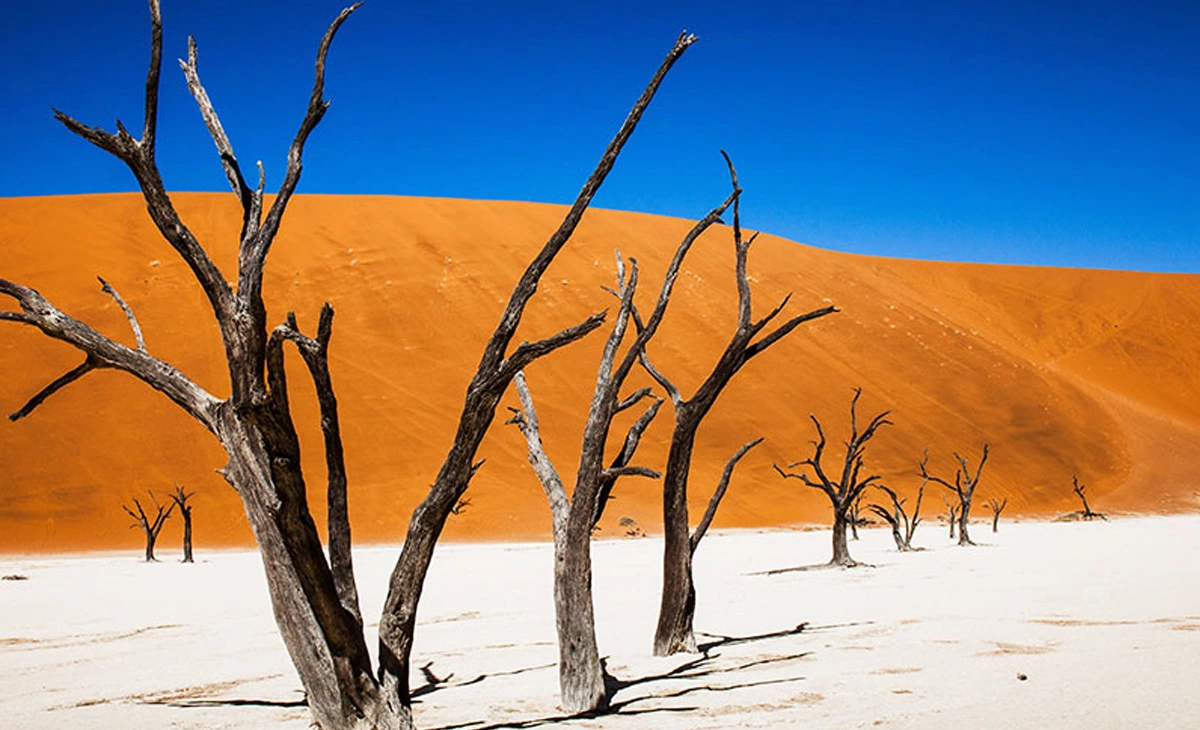 行程-納米比亞文化瑰寶經典豪華16天-《死亡谷》Deadvlei