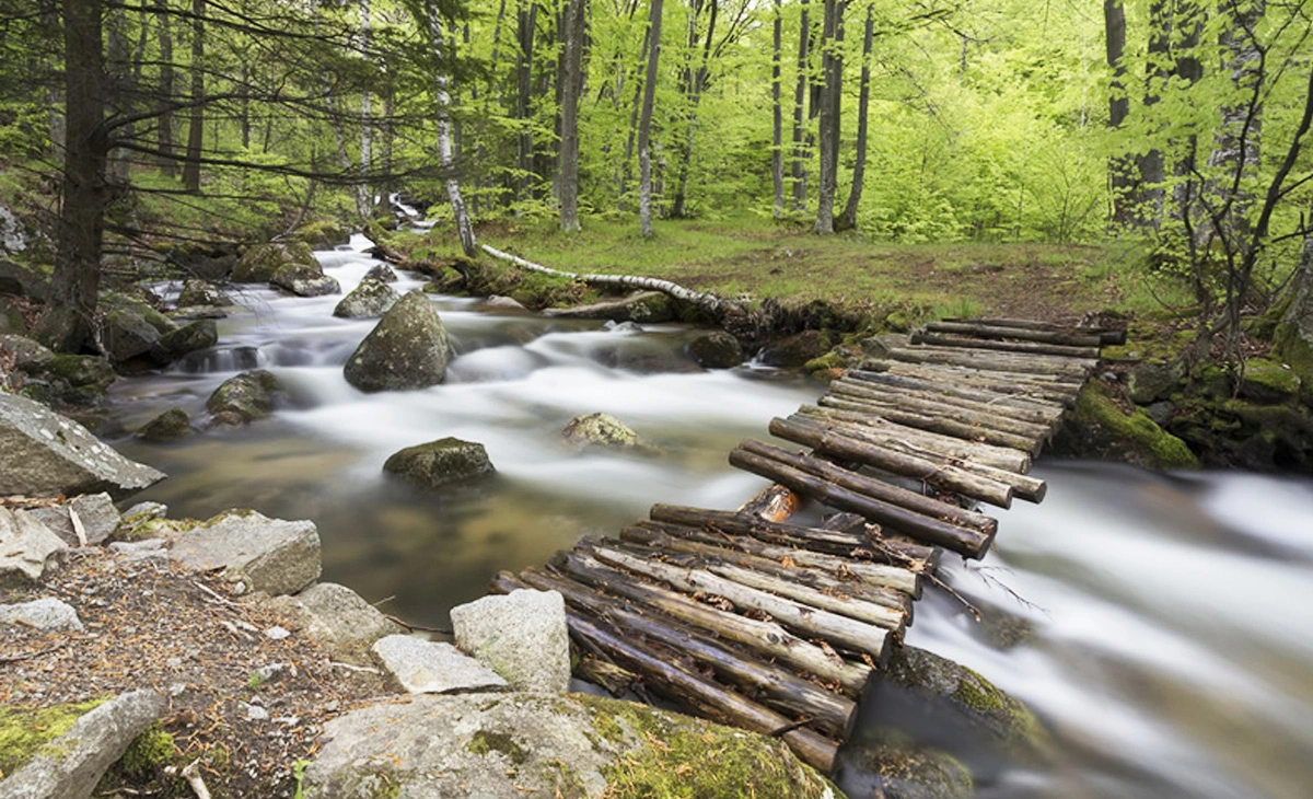 行程-巴爾幹半島多瑙河八國22天-維托沙山Vitosha
