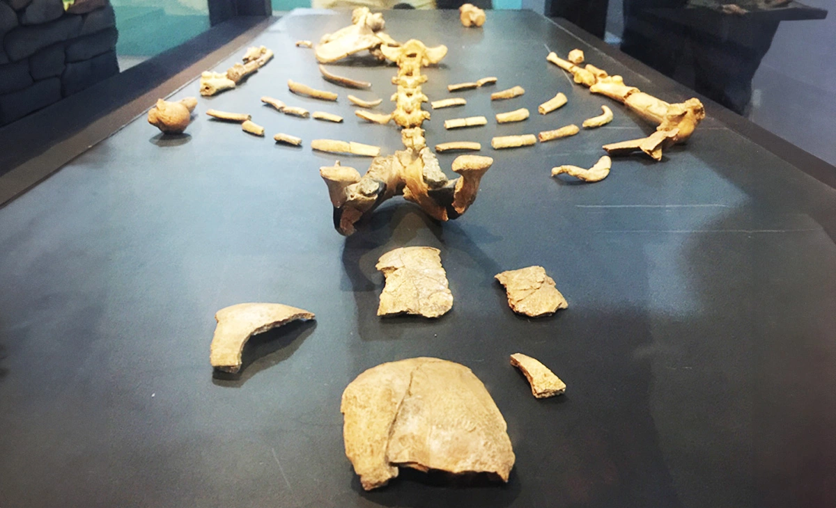 行程-衣索比亞法櫃奇兵15天-露西遺骸Lucy