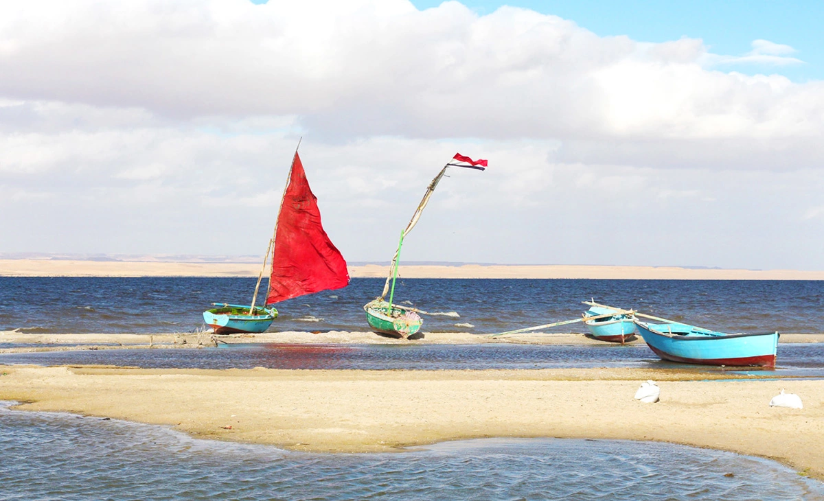 行程-埃及 尼羅河、薩哈拉綠洲、黑白沙漠15天-加龍湖Lake Qarun