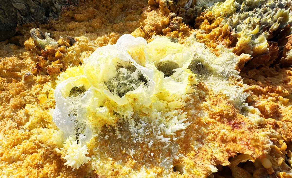 行程-衣索比亞法櫃奇兵15天-鹽田salt flats