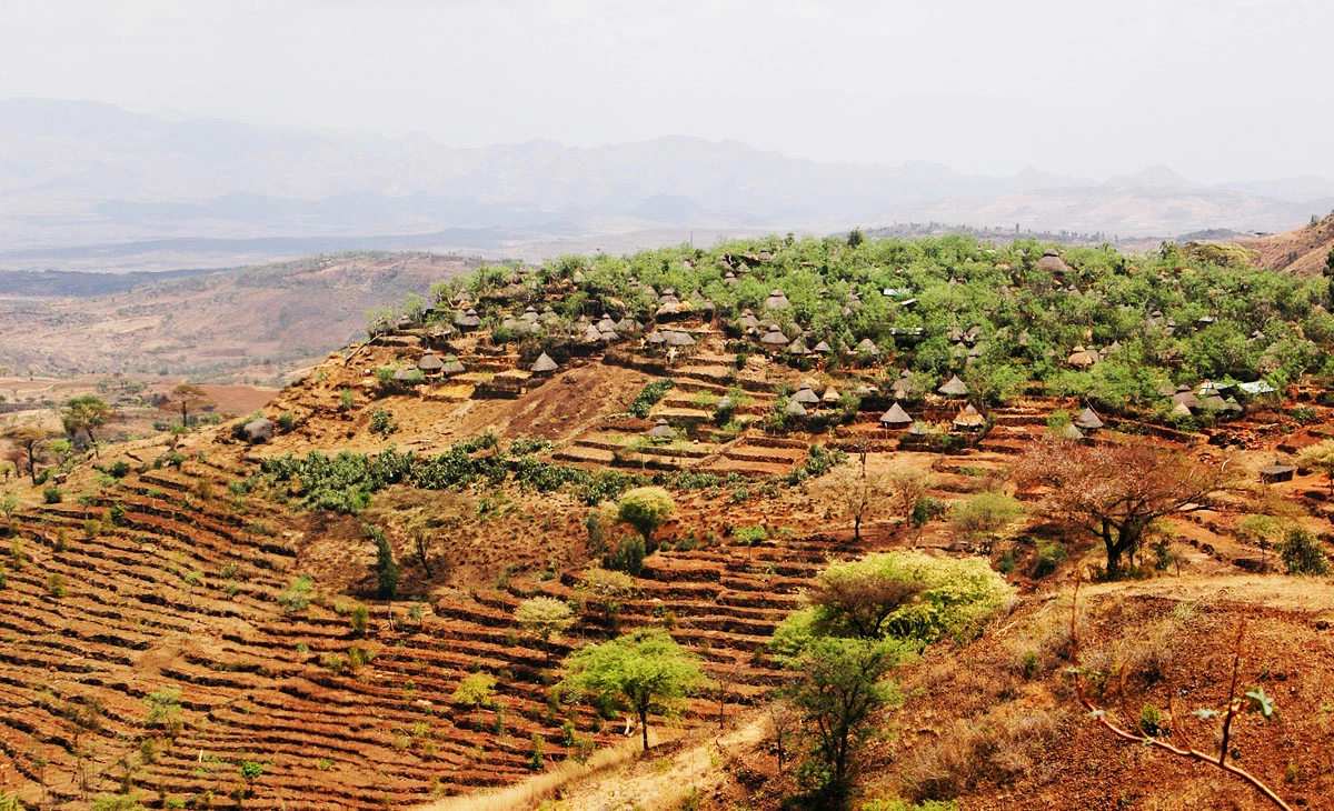 行程-衣索比亞法櫃奇兵15天-孔索梯田terraces of Konso