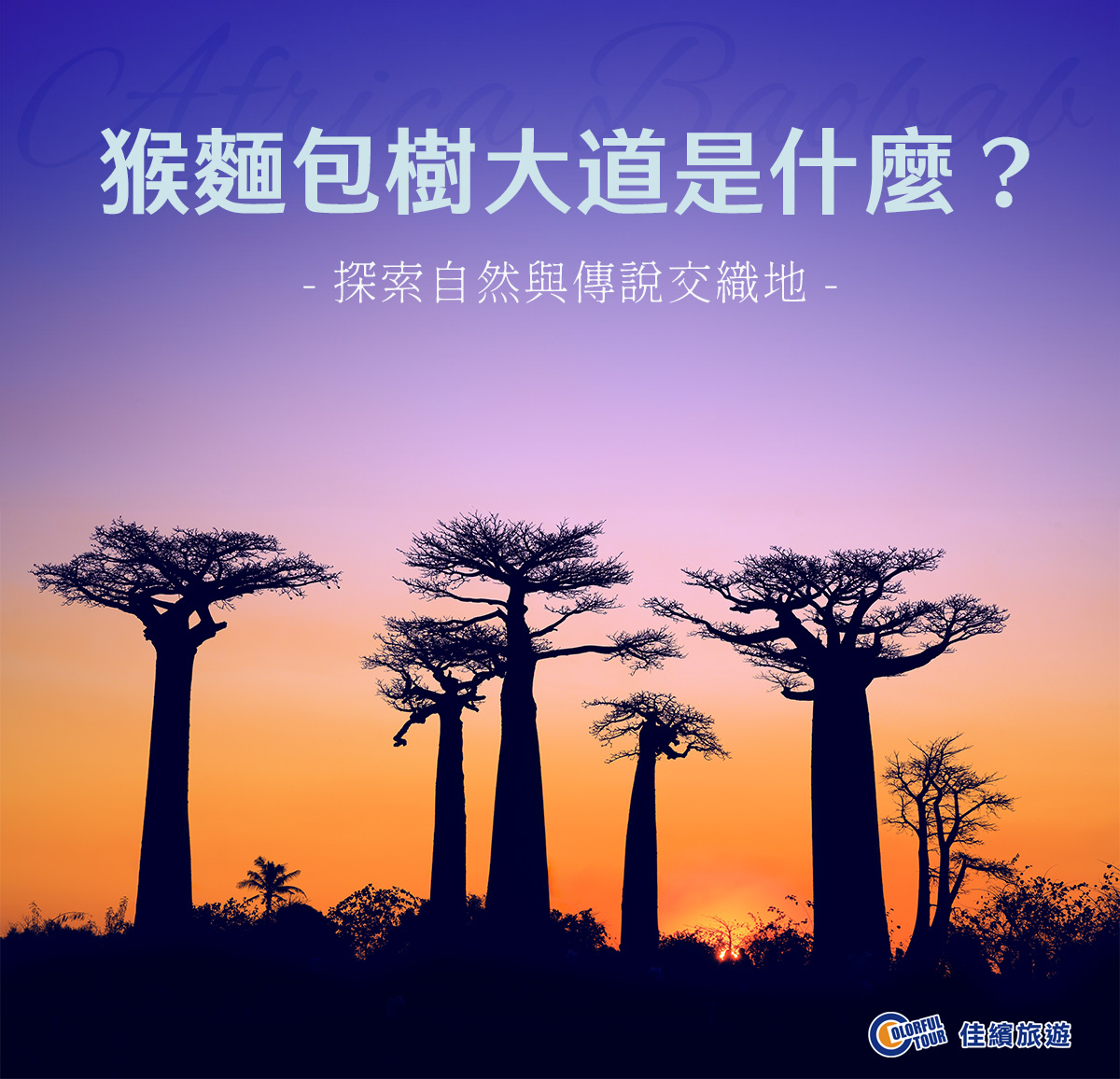 達人部落-猴麵包樹大道是什麼